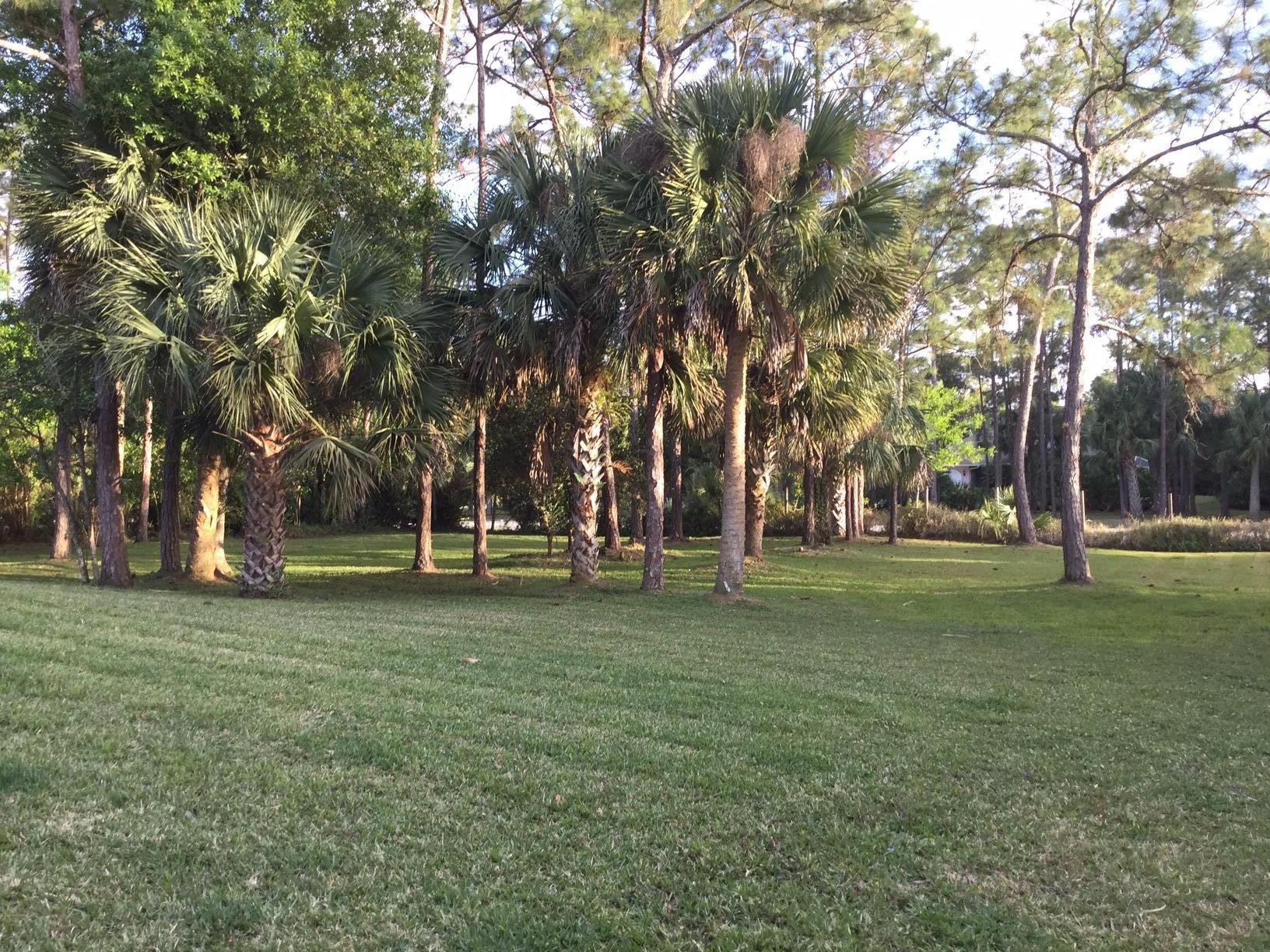 10421 Sandy Run Road Jupiter, FL 33478 - Photo 6 of 24 Front_yard