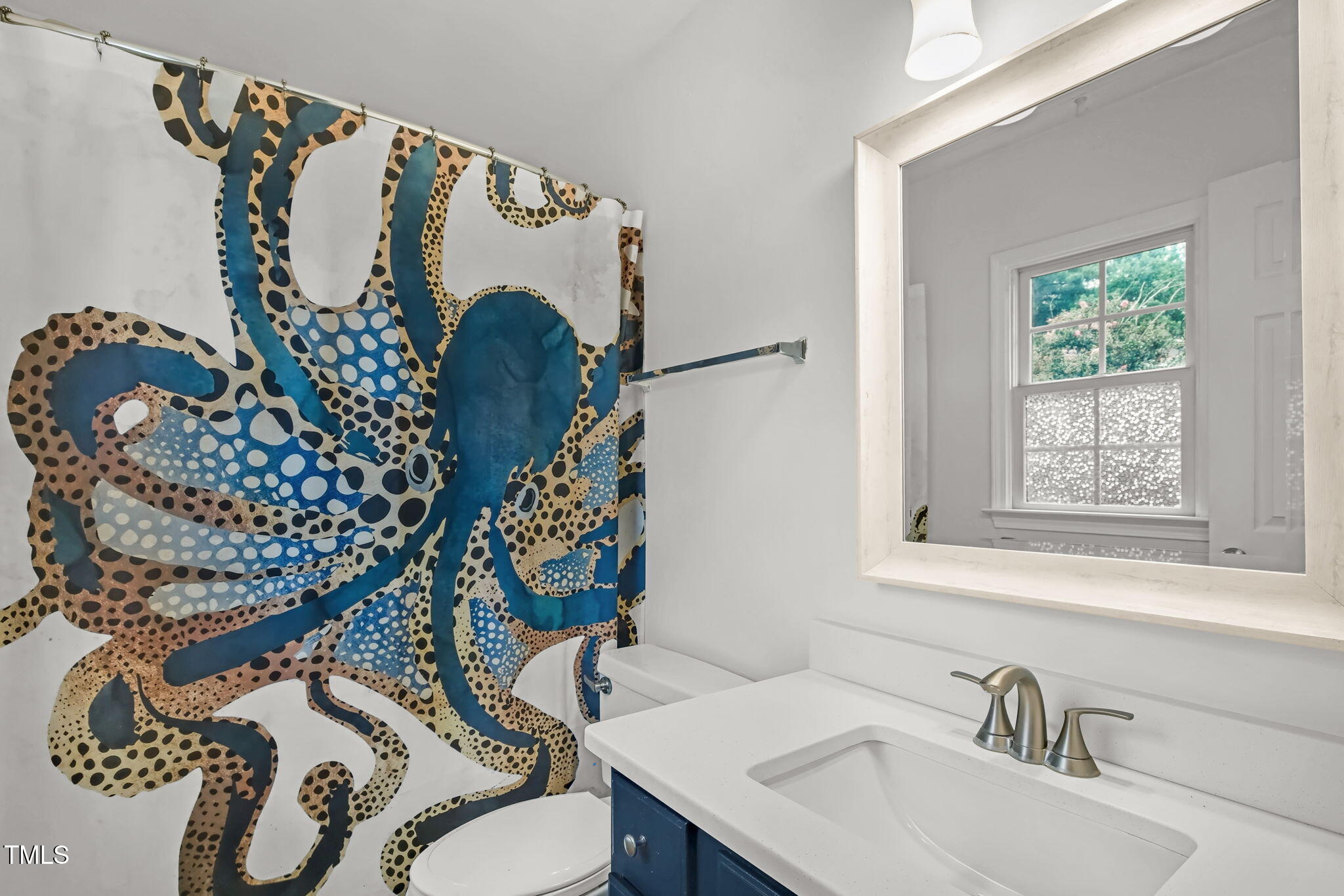 4555 Treerose Way Raleigh, NC 27606 - Photo 27 of 37 a bathroom with a sink and mirror with toilet