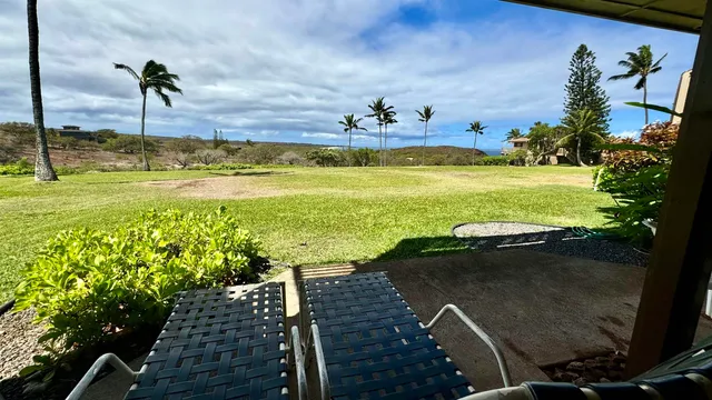 a view of a swimming pool with a yard