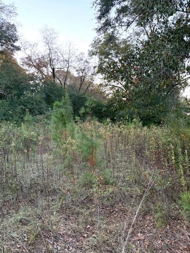 0 Barrow Road Red Level, AL 36474 - Photo 2 of 4 Gallery Image 2