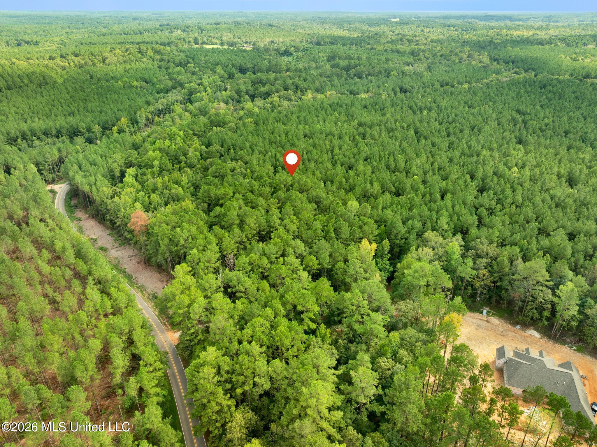15-acres Porter Hudson Road Sumrall, MS 39482 - Photo 16 of 16 0_Porter_Hudson_Rd-16