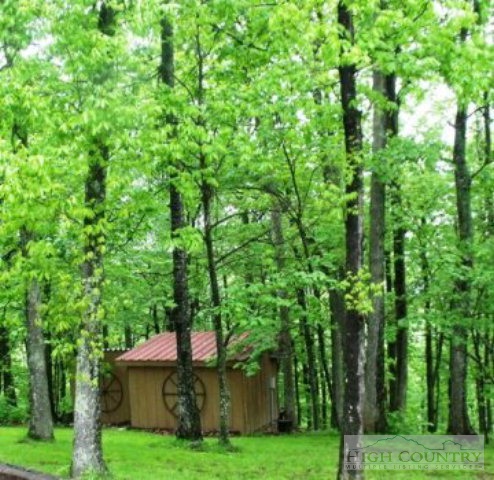 800 Mitchell Mountain Road Sparta, NC 28675 - Photo 20 of 21 Gallery Image 20