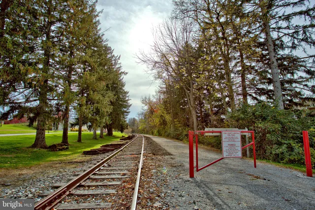 a view of a park with large trees