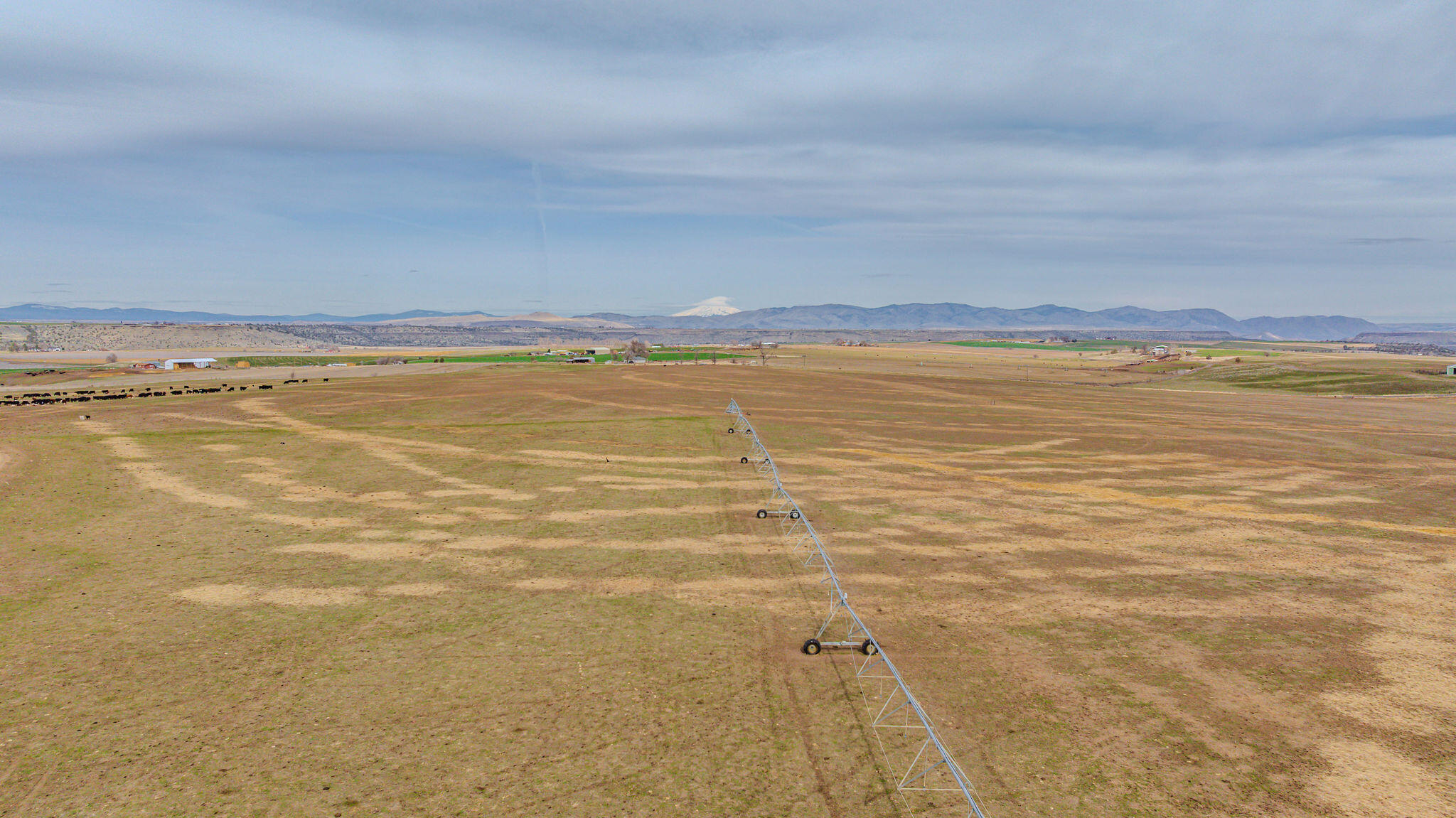 7507 Northeast Quaale Road Madras, OR 97741 - Photo 20 of 72 DJI_20250308095743_0023_D-HDR