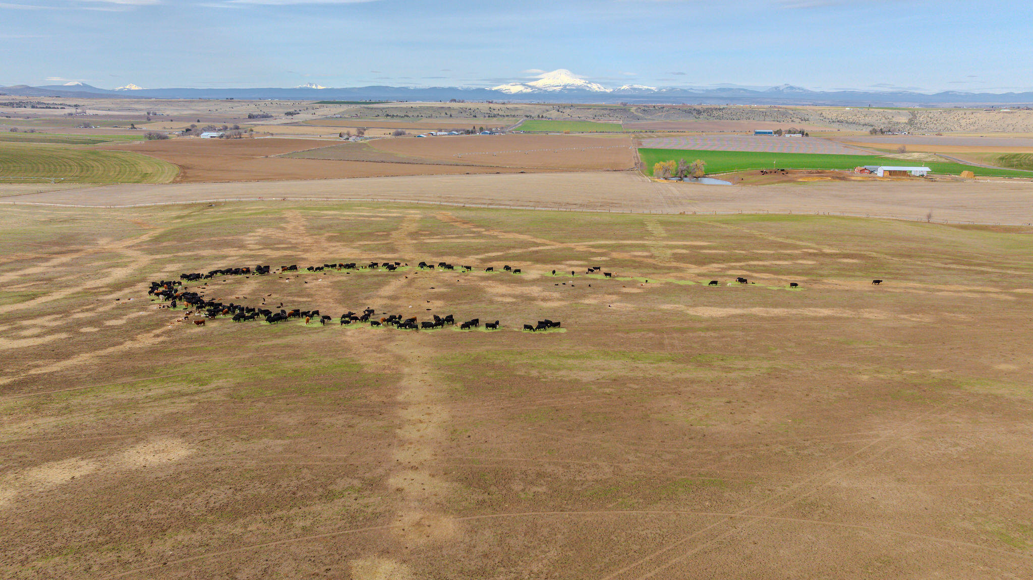 7507 Northeast Quaale Road Madras, OR 97741 - Photo 21 of 72 DJI_20250308095826_0027_D-HDR