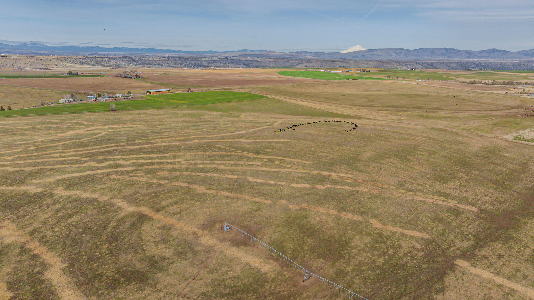 7507 Northeast Quaale Road Madras, OR 97741 - Photo 35 of 72 DJI_20250308100718_0078_D-HDR