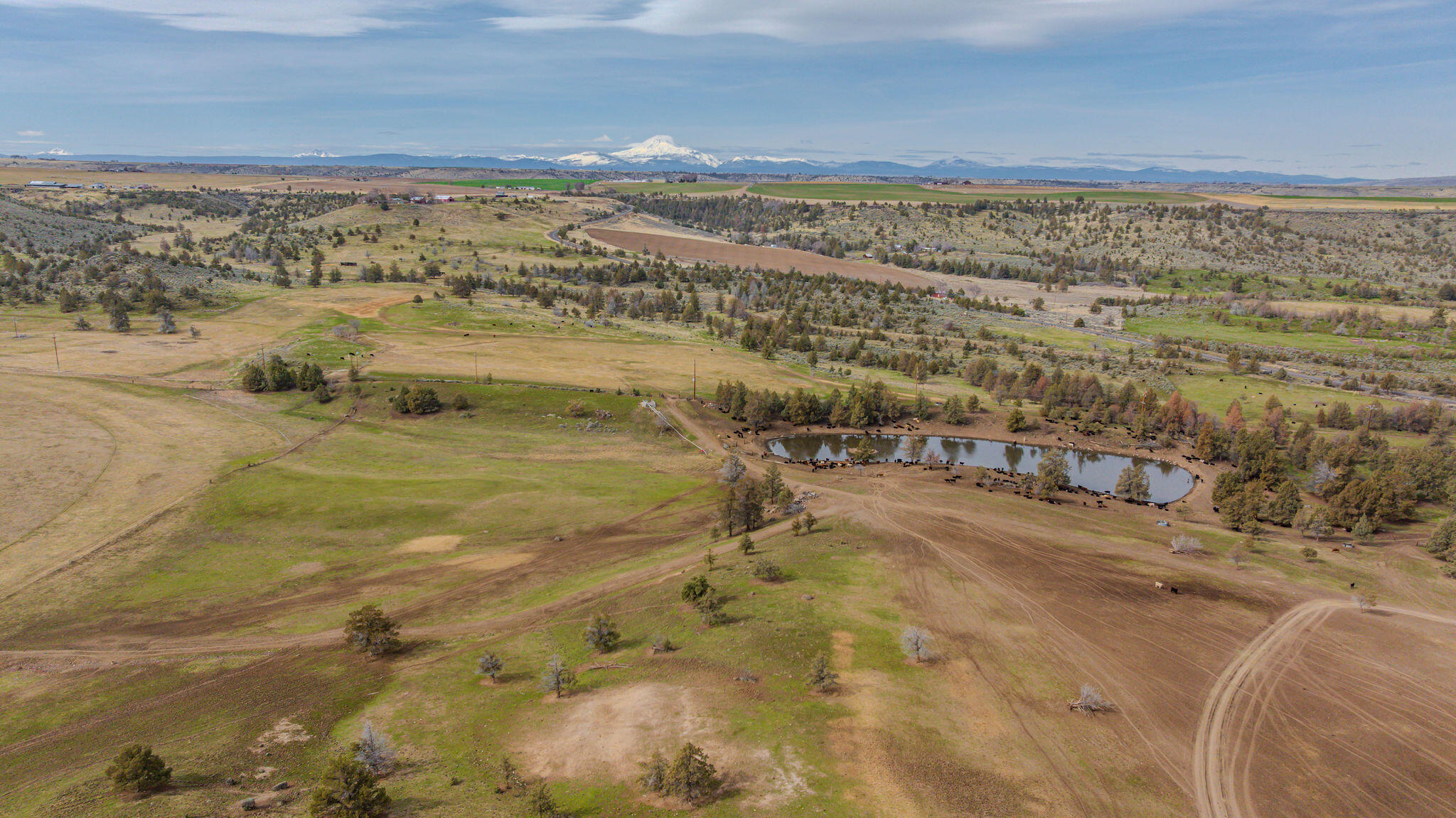 7507 Northeast Quaale Road Madras, OR 97741 - Photo 62 of 72 DJI_20250308105228_0176_D-HDR