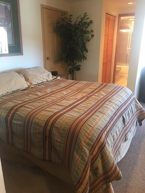 660 Four Oclock Road, Unit 15 Breckenridge, CO 80424 - Photo 1 of 15 Gallery Image 1