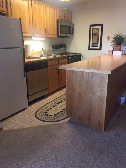 660 Four Oclock Road, Unit 15 Breckenridge, CO 80424 - Photo 3 of 15 Gallery Image 3