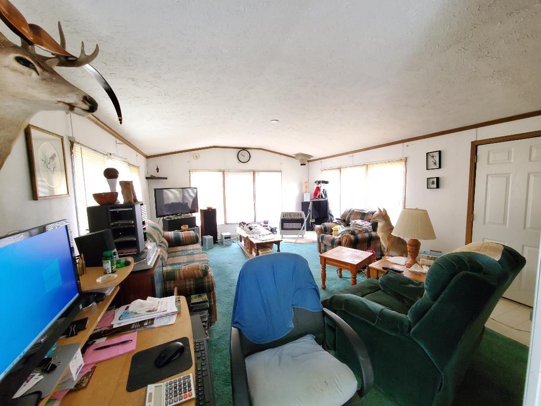 173 No 31 Road Cadillac, MI 49601 - Photo 8 of 17