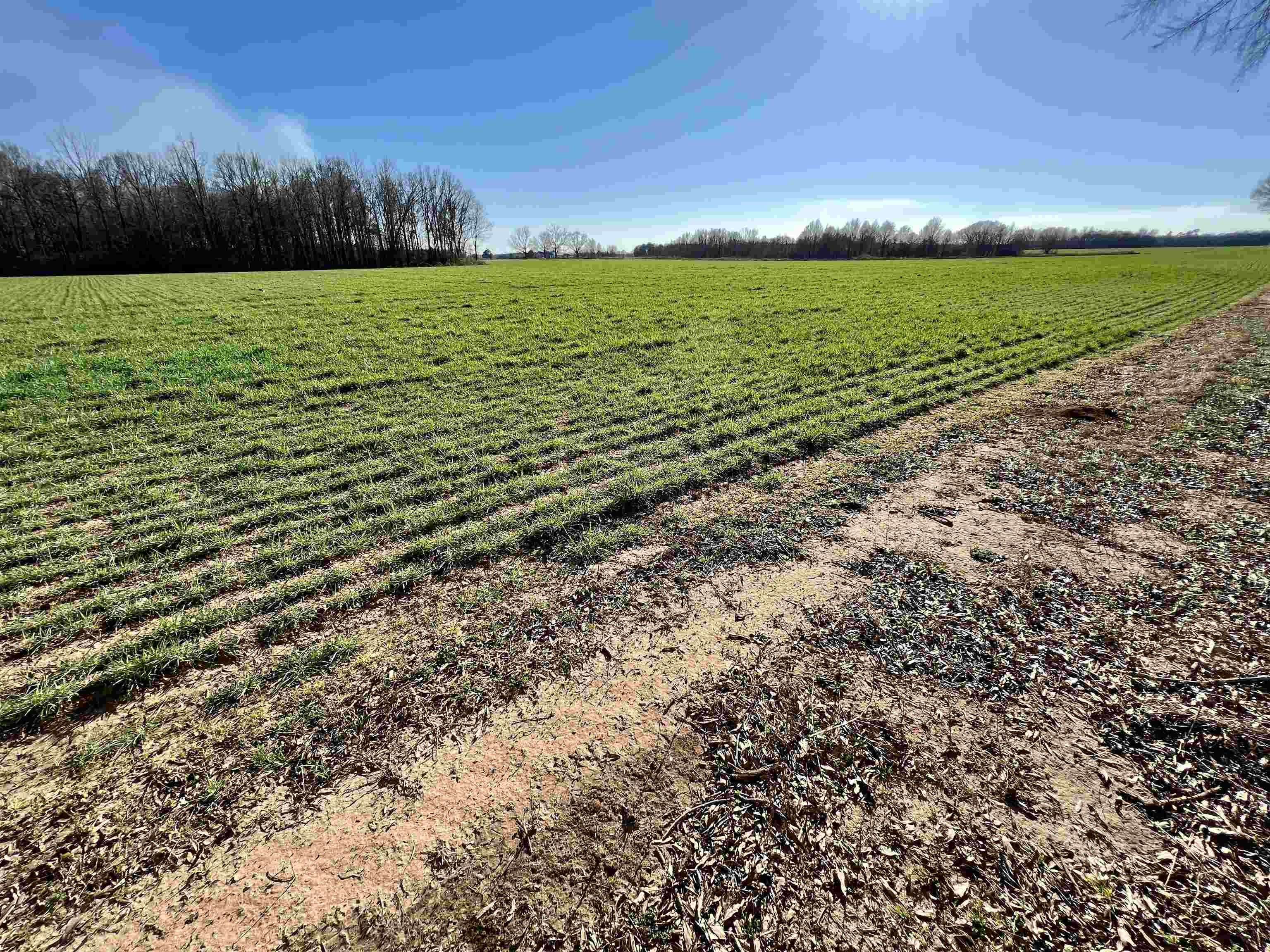 0 Country Road Atmore, AL 36502 - Photo 18 of 27