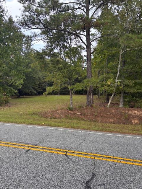 114 Highway 10 McCormick, SC 29835 - Photo 4 of 15