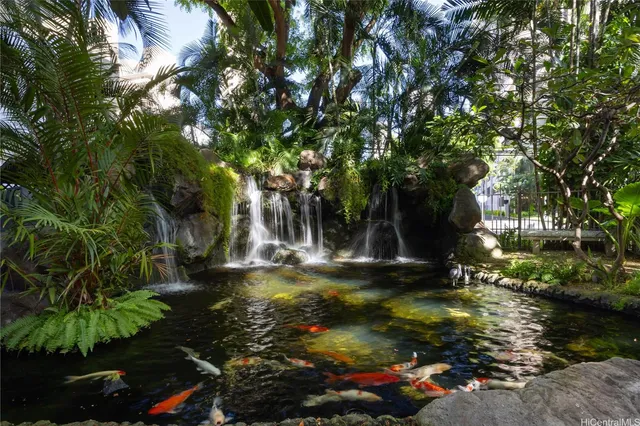 a view of a yard with plants and large trees