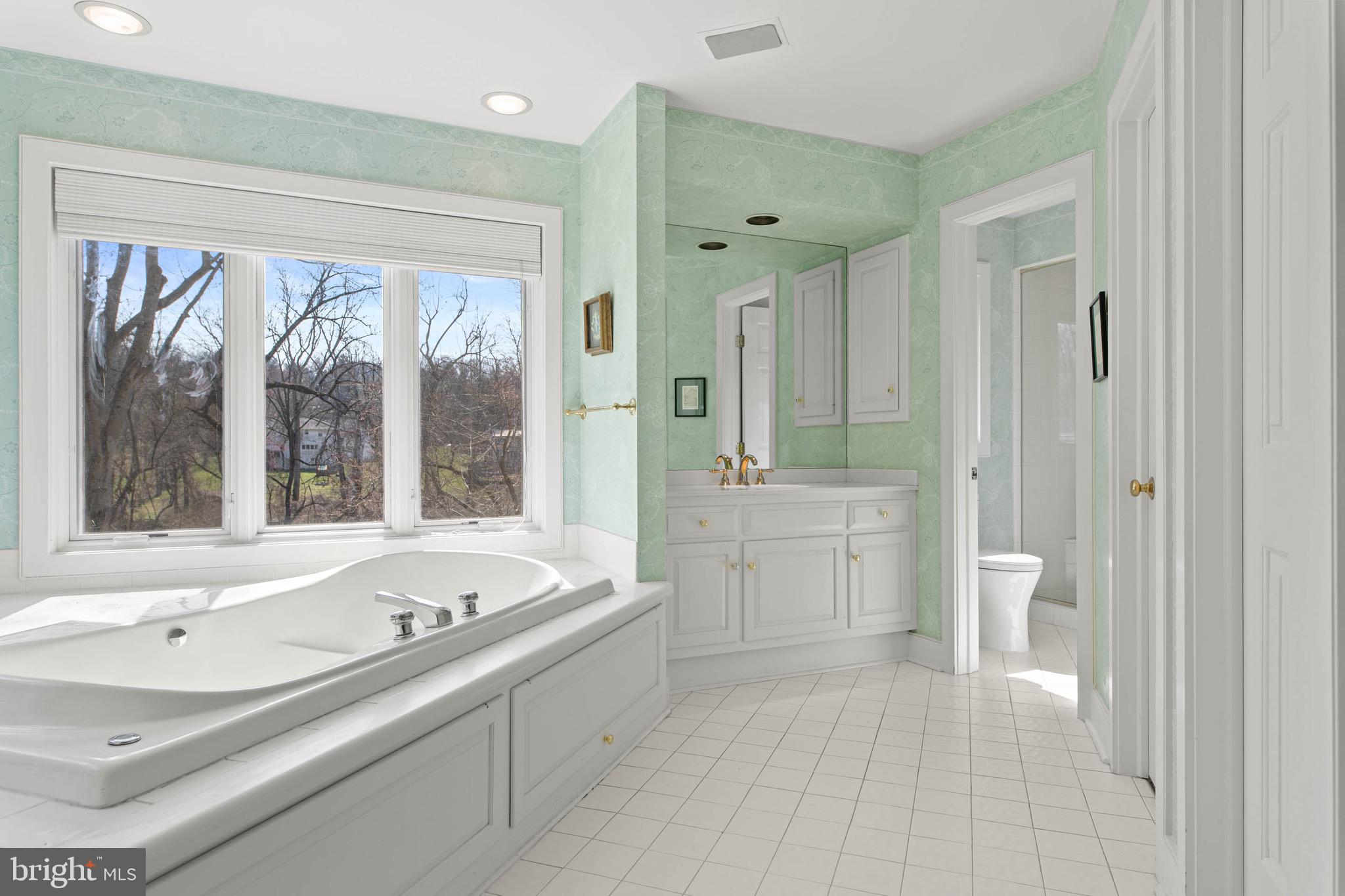 1244 Denbigh Lane Wayne, PA 19087 - Photo 23 of 38 a bathroom with a tub sink toilet and a large mirror