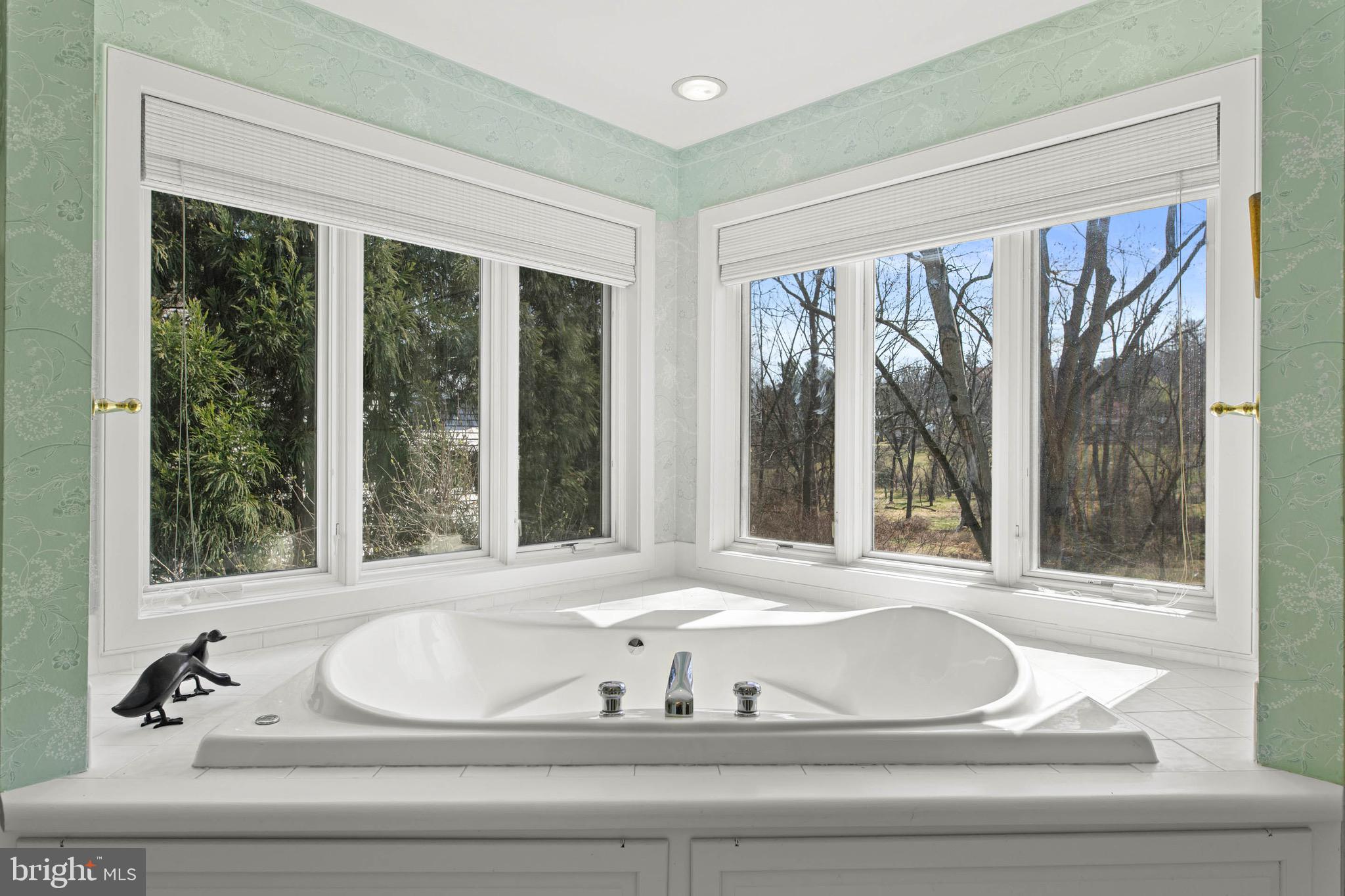 1244 Denbigh Lane Wayne, PA 19087 - Photo 24 of 38 a bathroom with a bathtub and windows