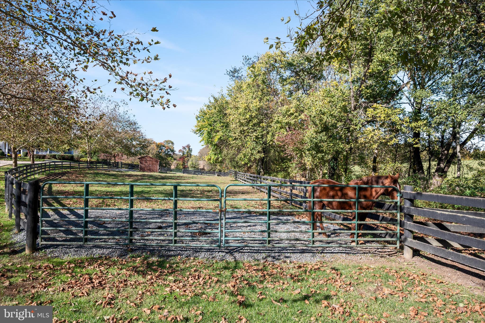 17635 Harmony Church Road Hamilton, VA 20158 - Photo 101 of 108 a view of a yard with wooden fence