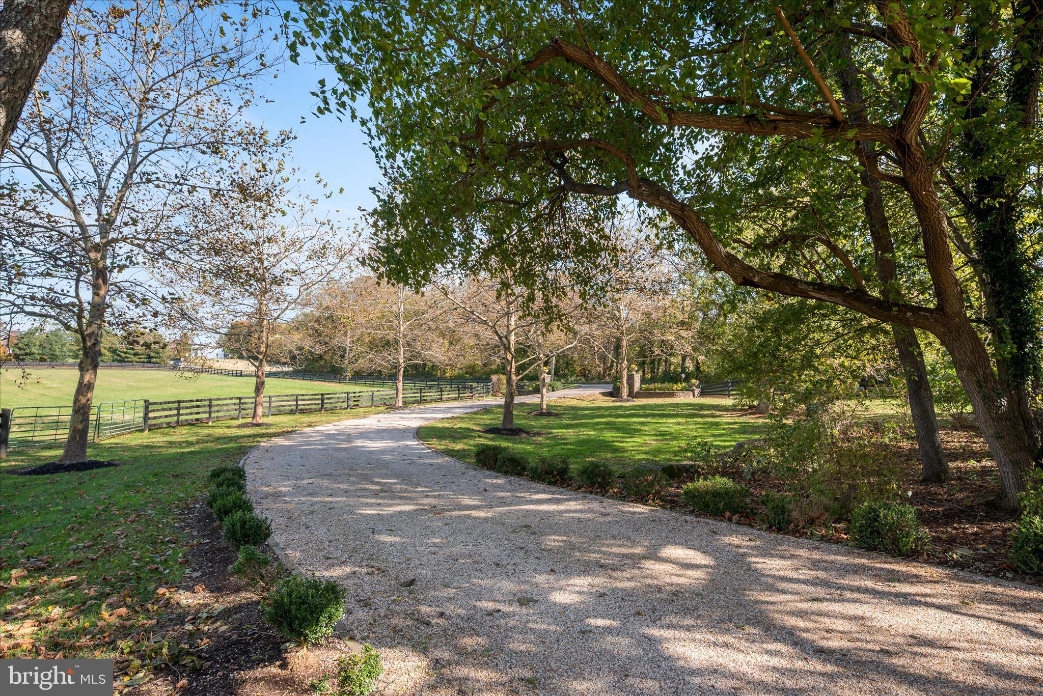 17635 Harmony Church Road Hamilton, VA 20158 - Photo 21 of 108 Elegant pea gravel driveway with mature plantings.