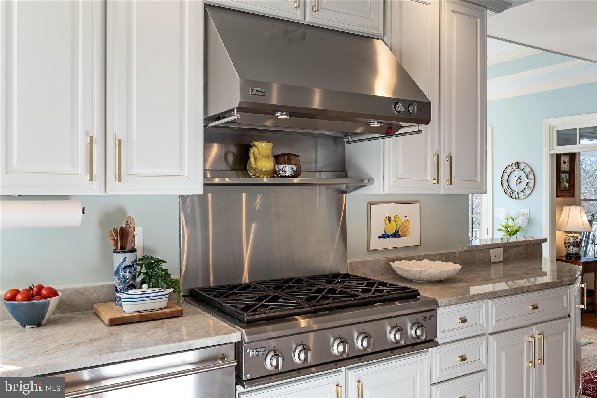 17635 Harmony Church Road Hamilton, VA 20158 - Photo 51 of 108 a kitchen with stainless steel appliances granite countertop a stove and white cabinets