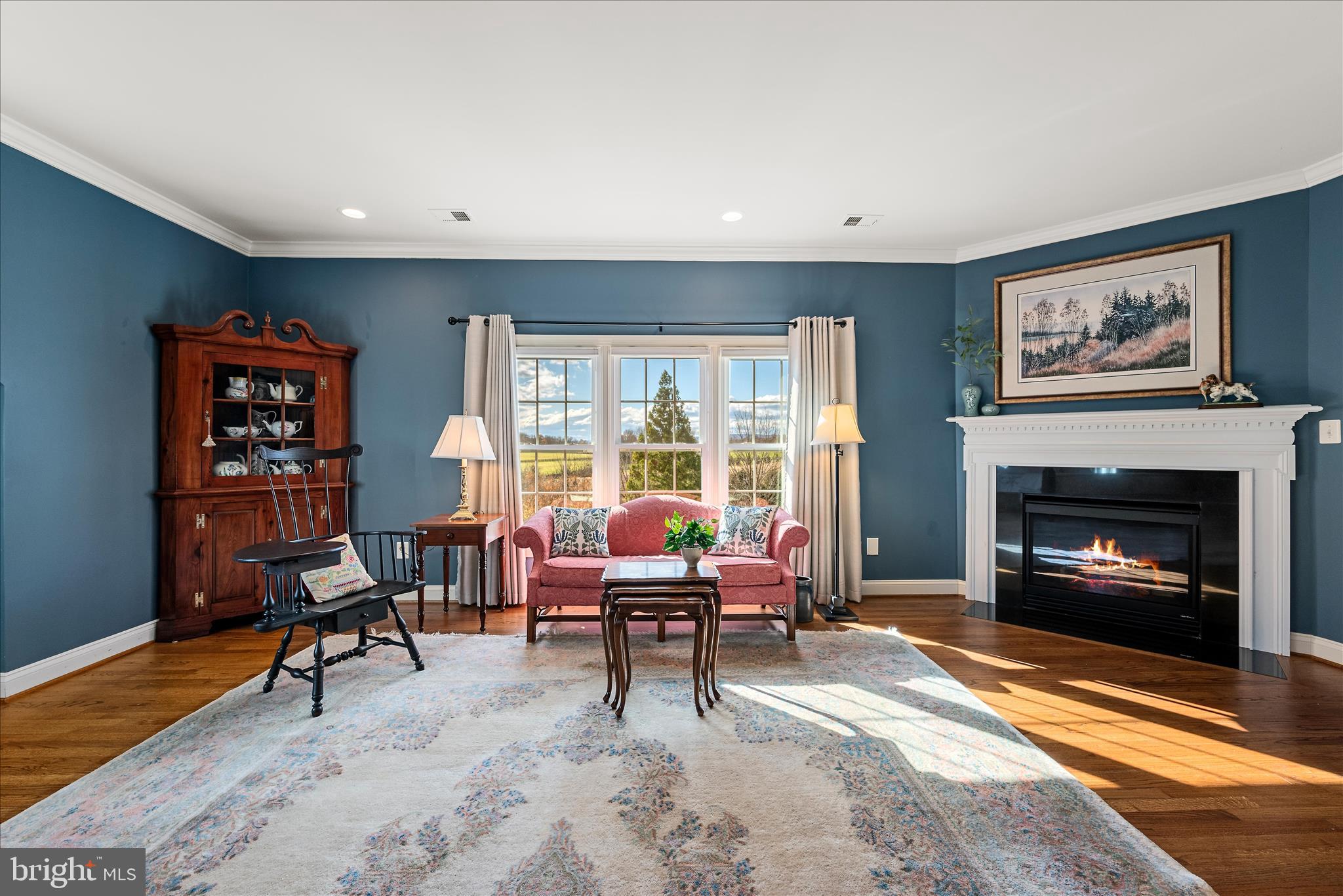 17635 Harmony Church Road Hamilton, VA 20158 - Photo 63 of 108 a living room with furniture and a fireplace