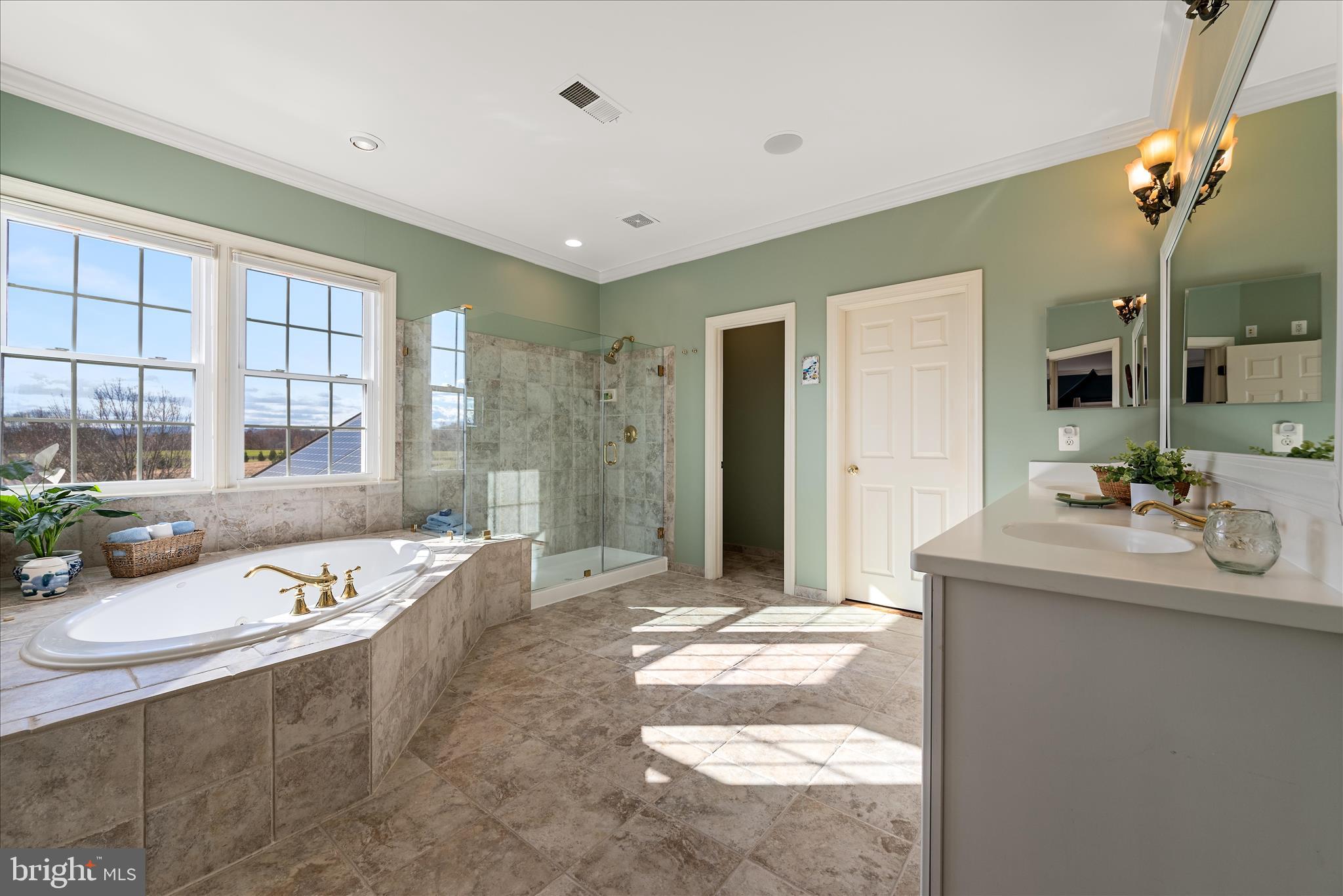 17635 Harmony Church Road Hamilton, VA 20158 - Photo 67 of 108 Spa like primary bathroom