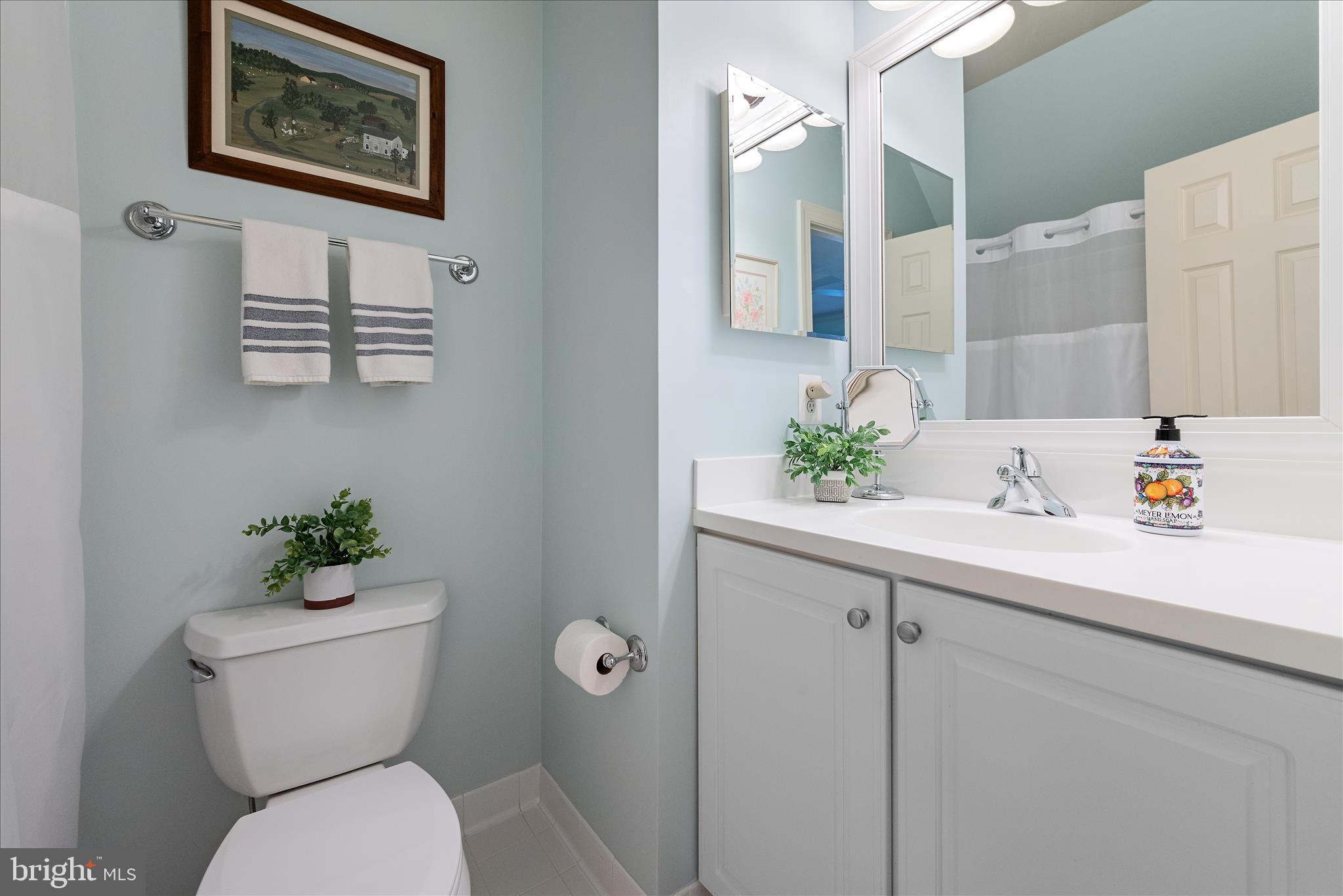 17635 Harmony Church Road Hamilton, VA 20158 - Photo 77 of 108 a bathroom with a sink a toilet and a mirror