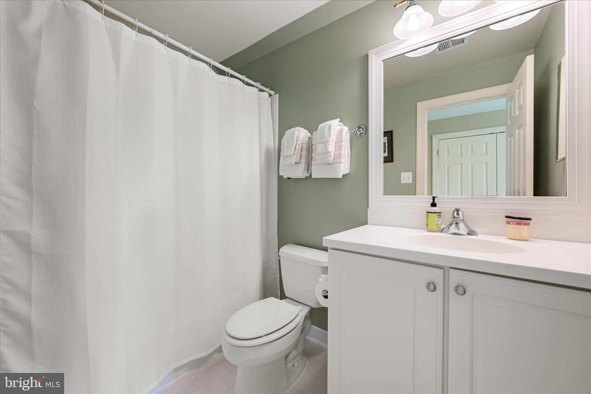 17635 Harmony Church Road Hamilton, VA 20158 - Photo 82 of 108 a bathroom with a sink a toilet and mirror