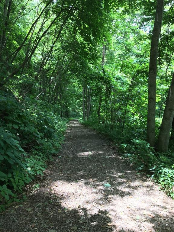 Tbd McGuires Ridge, Unit 321322 Waynesville, NC 28786 - Photo 2 of 4 a view of a yard with plants and large trees