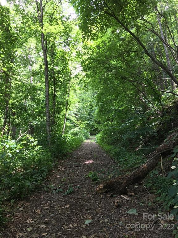 Tbd McGuires Ridge, Unit 321322 Waynesville, NC 28786 - Photo 3 of 4 a view of a yard