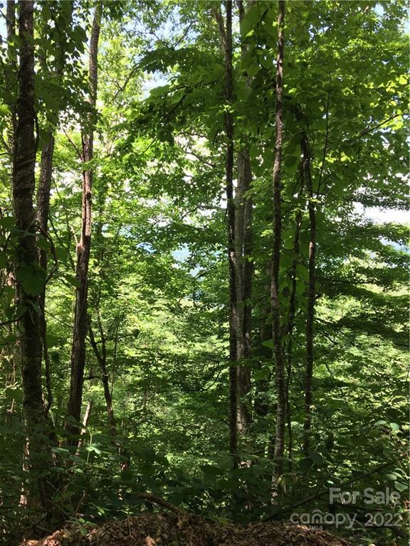 Tbd McGuires Ridge, Unit 321322 Waynesville, NC 28786 - Photo 4 of 4 a view of outdoor space and a forest