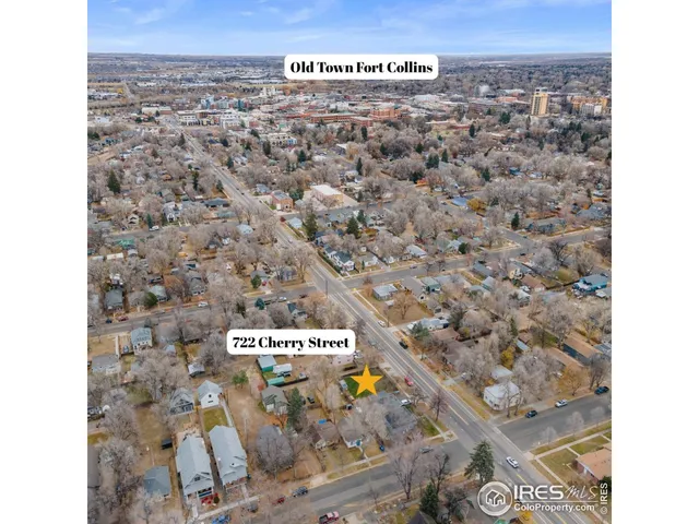 a view of a park with large trees