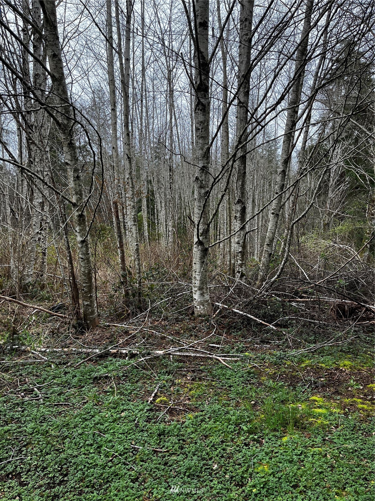 610 School Road Aberdeen, WA 98520 - Photo 12 of 12 Gallery Image 12