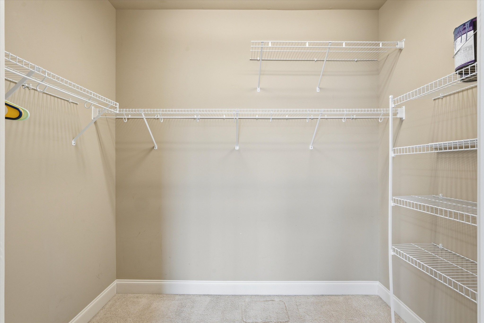 4213 Prestwick Place Spring Hill, TN 37174 - Photo 43 of 52 a view of an empty walk in closet