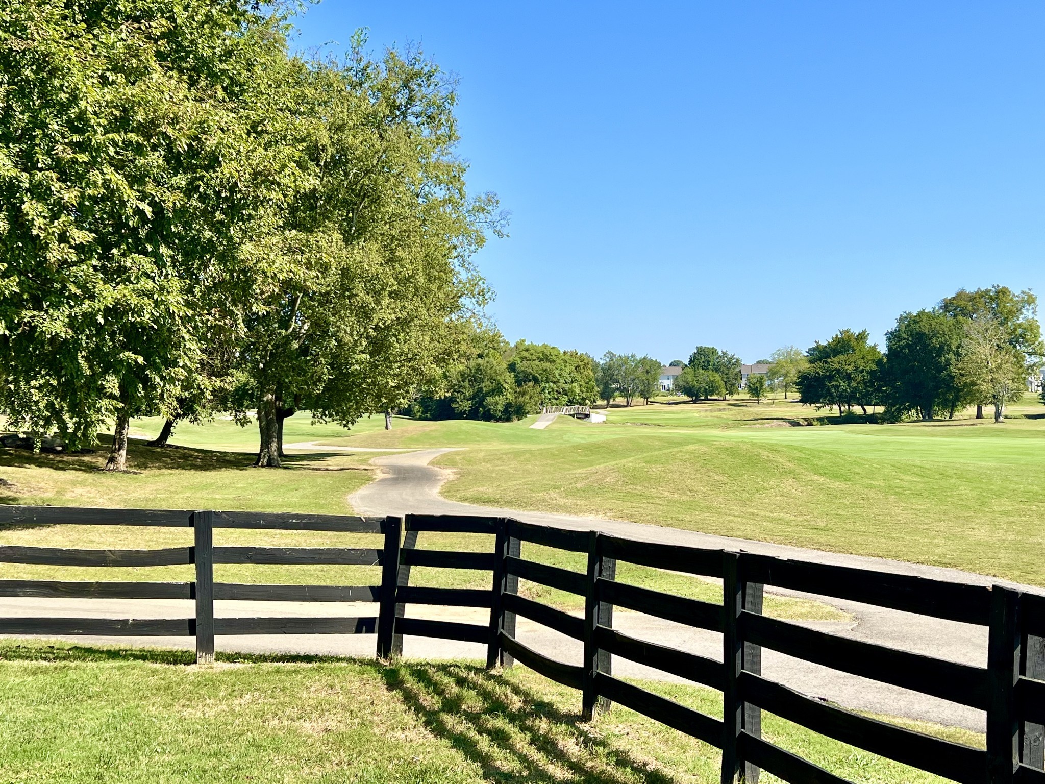 4213 Prestwick Place Spring Hill, TN 37174 - Photo 49 of 52