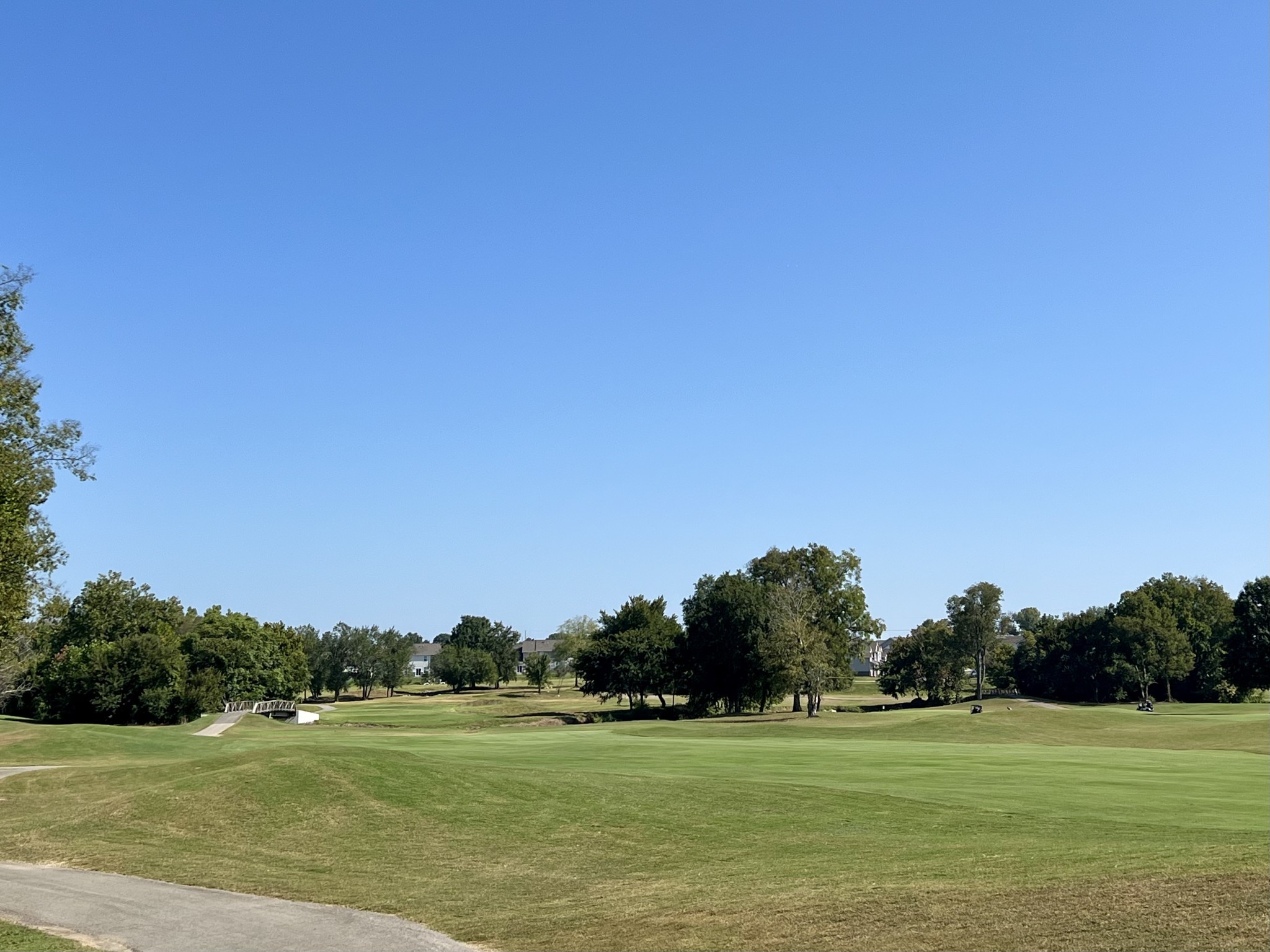 4213 Prestwick Place Spring Hill, TN 37174 - Photo 50 of 52 a view of a golf course with a lake view