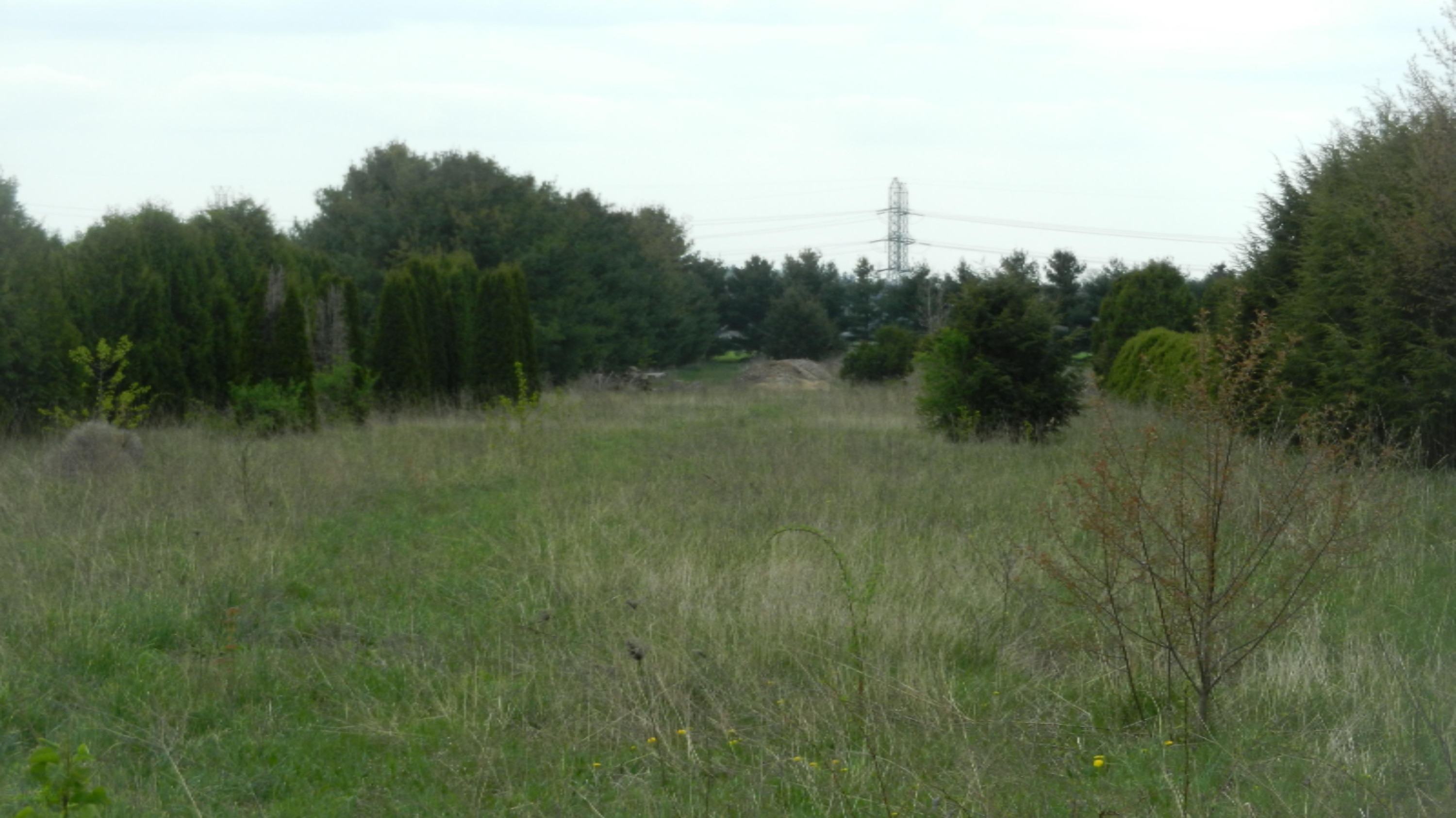 DSCN1576