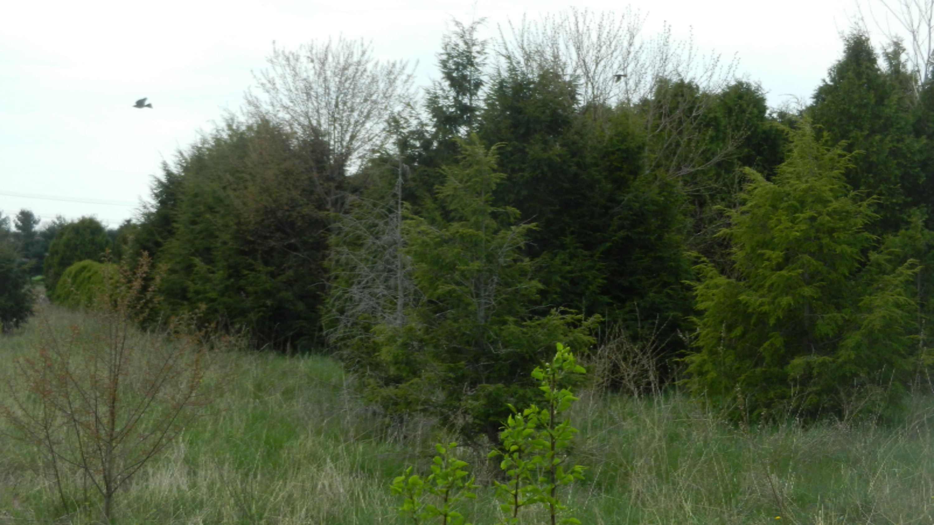DSCN1577