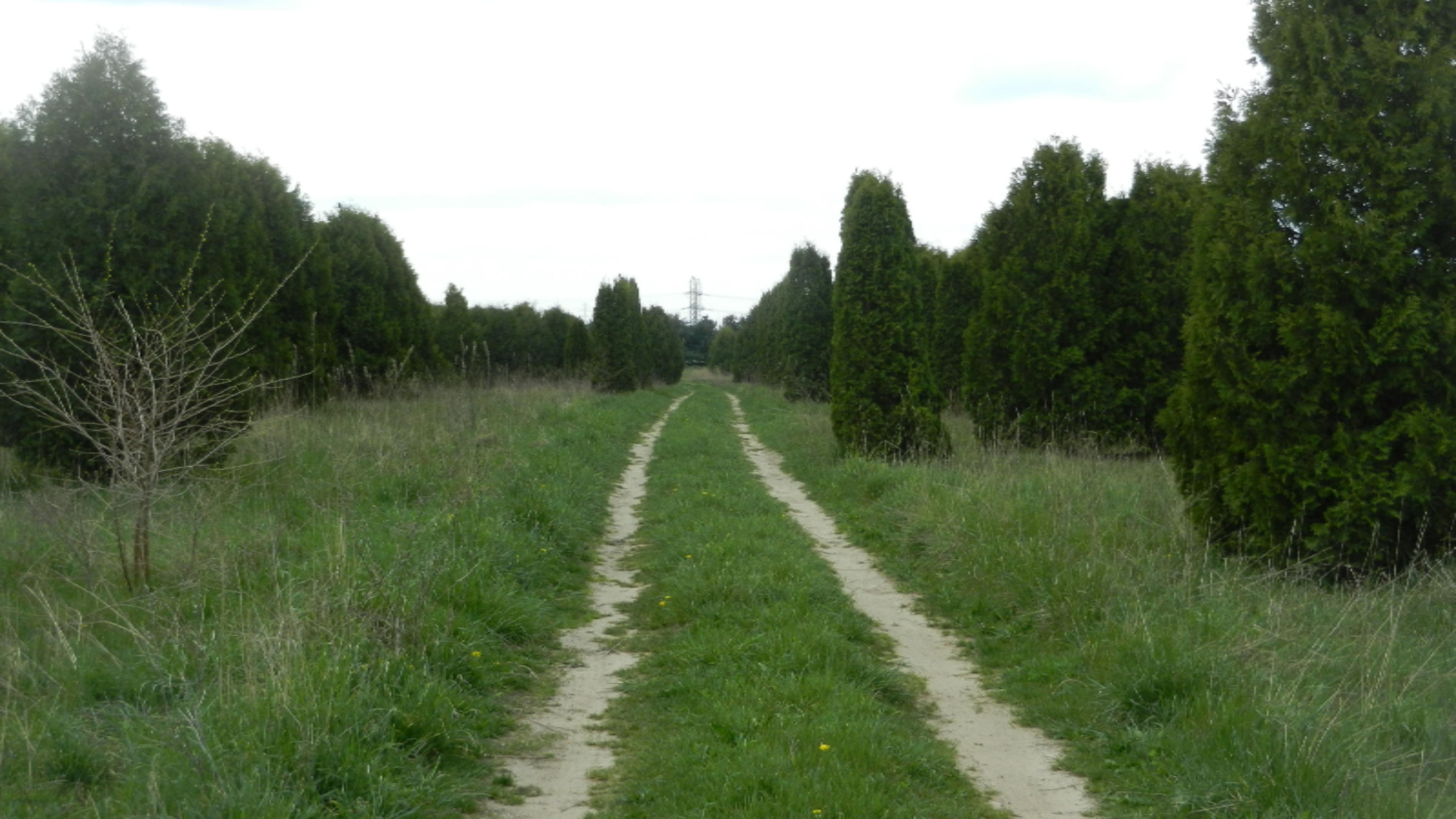 DSCN1575