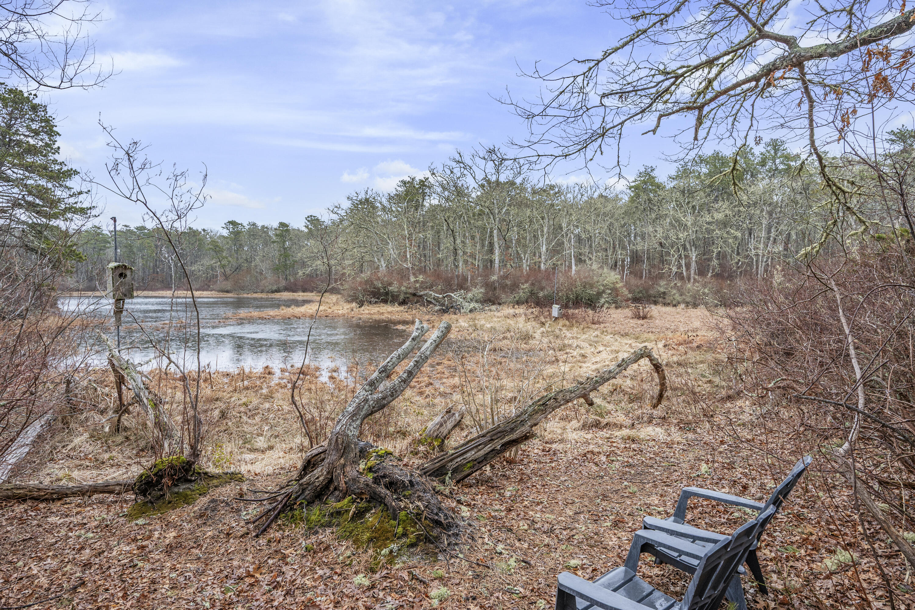 1157 Orleans-Harwich Road Harwich, MA 02645 - Photo 29 of 41 a view of a lake with a yard