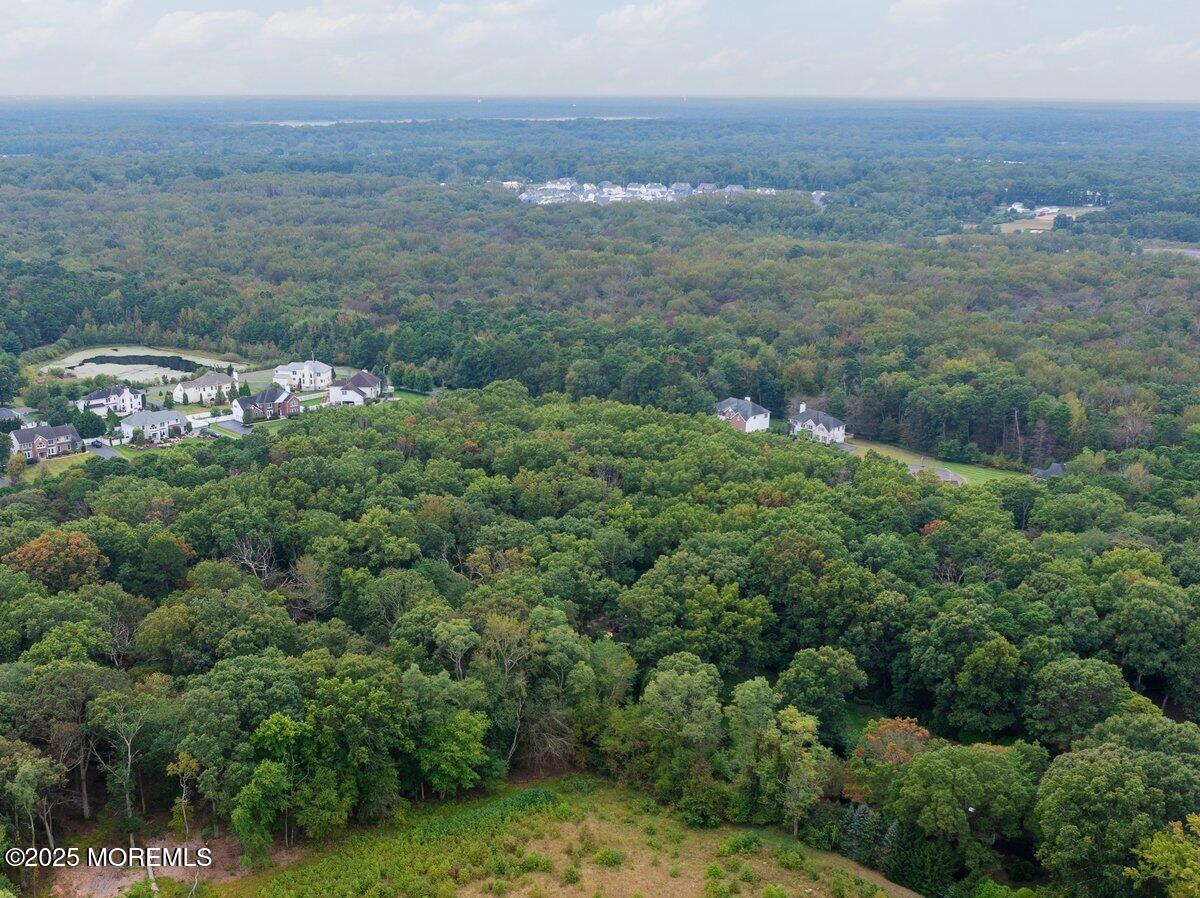 a view of a field with an ocean