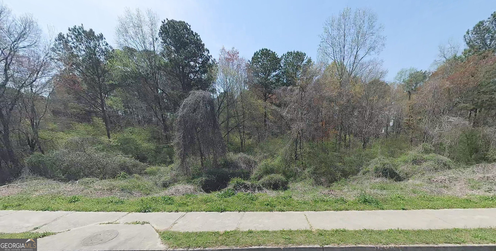 0 Jerome Road, Unit TRACT 1 Atlanta, GA 30349 - Photo 4 of 5 a view of a yard