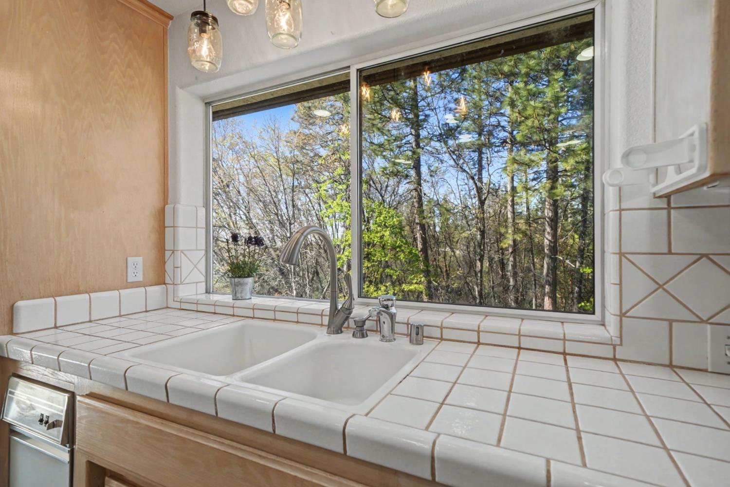 14000 Brandon Road Pine Grove, CA 95665 - Photo 58 of 84