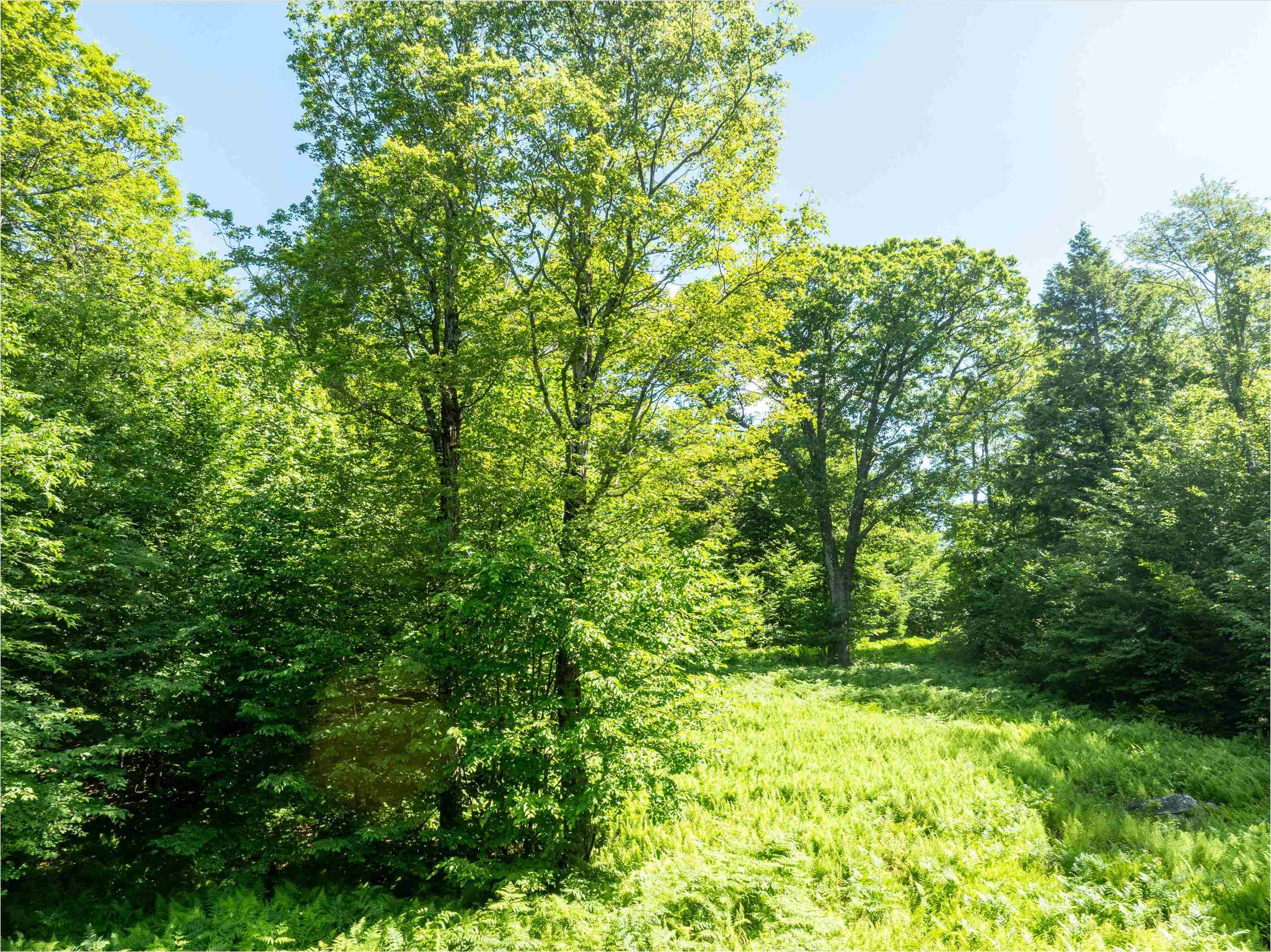 0 Turtle Hill Road Ludlow, VT 05149 - Photo 1 of 19