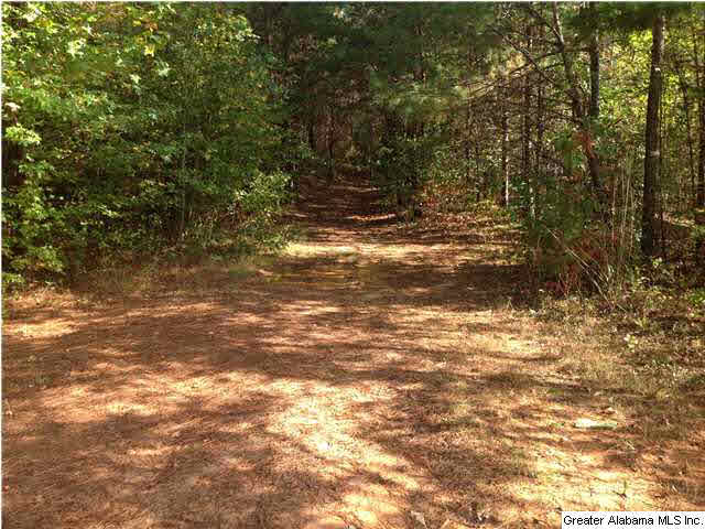 0 County Road 229, Unit 22 AC Fruithurst, AL 36262 - Photo 9 of 12