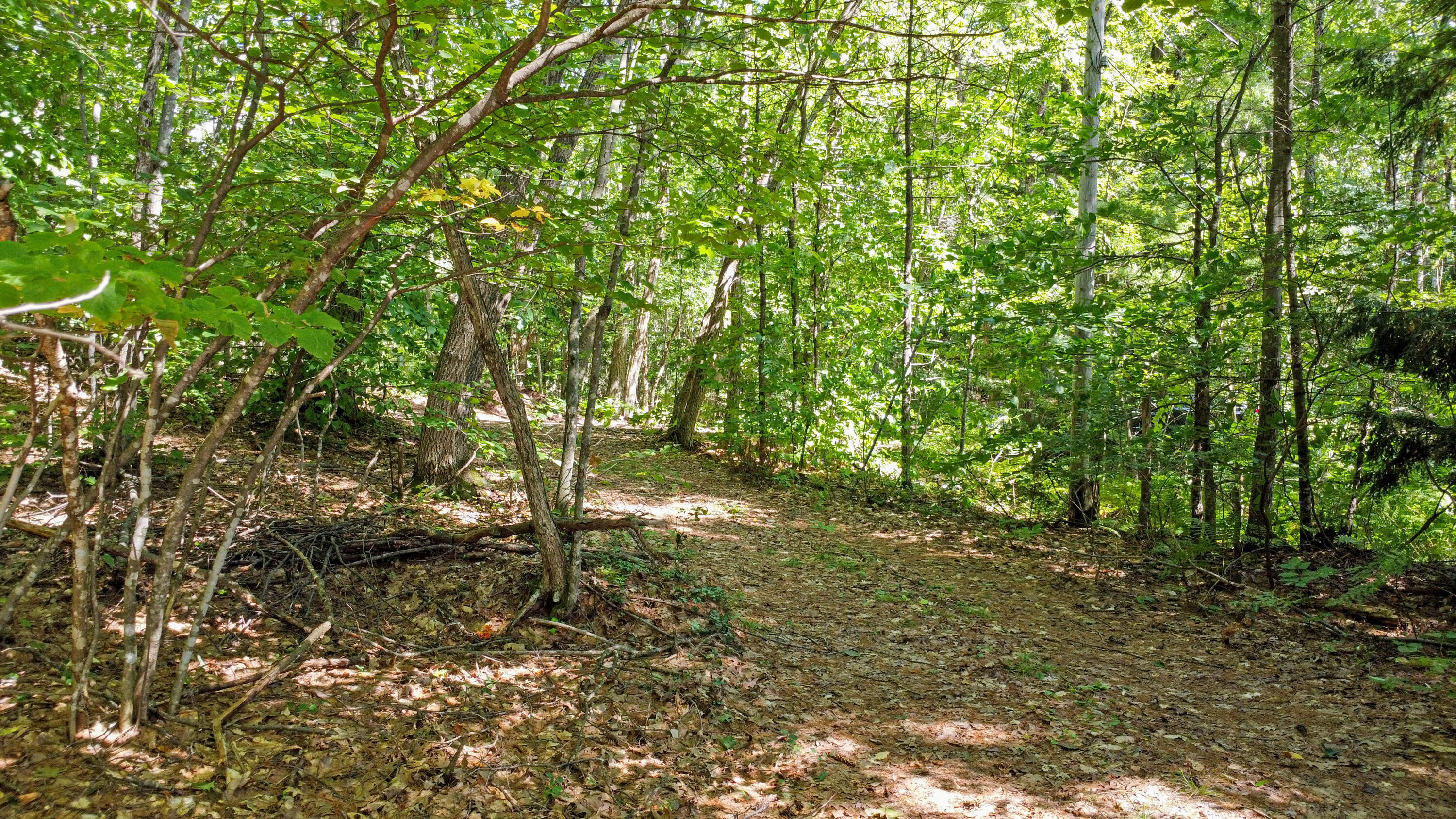 Map60-lot17 North Shore Road Turner, ME 04282 - Photo 17 of 20 DJI_0116