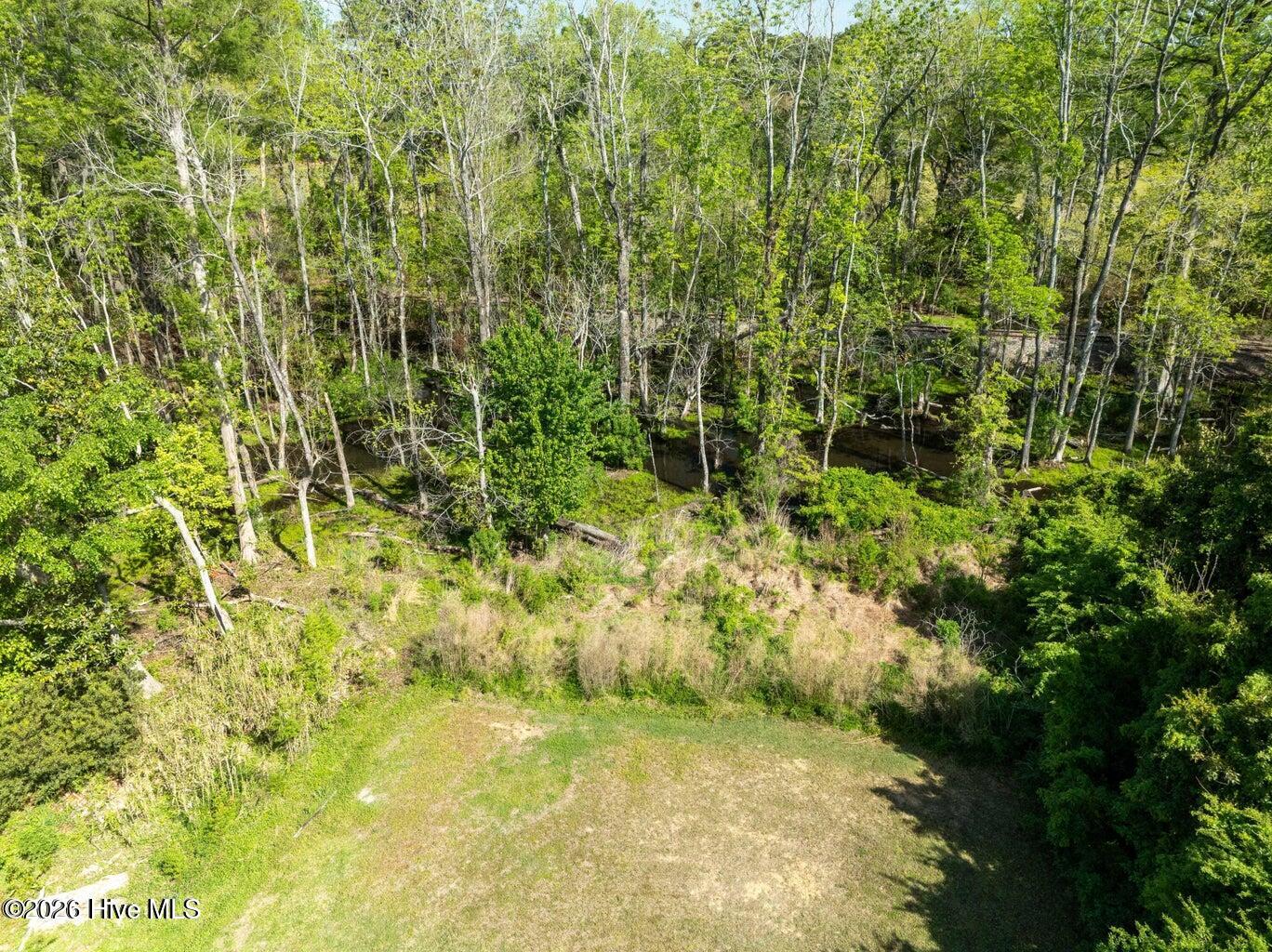322 1/2 River Road Washington, NC 27889 - Photo 8 of 9 Yayak from your back yard