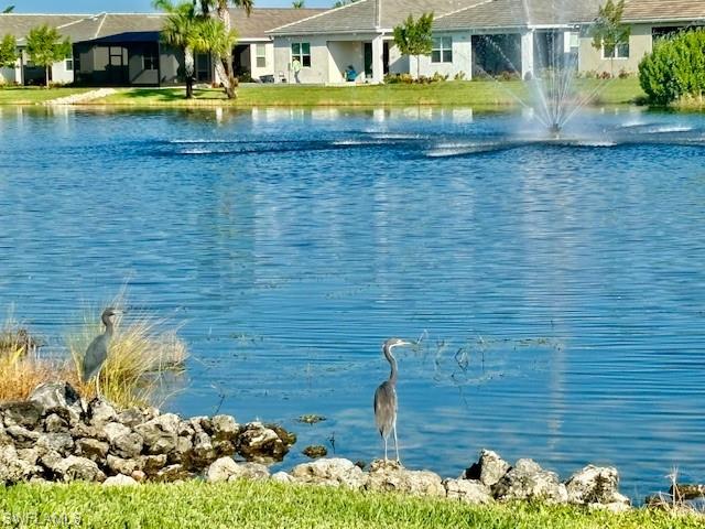 28318 Captiva Shell Loop Bonita Springs, FL 34135 - Photo 23 of 36