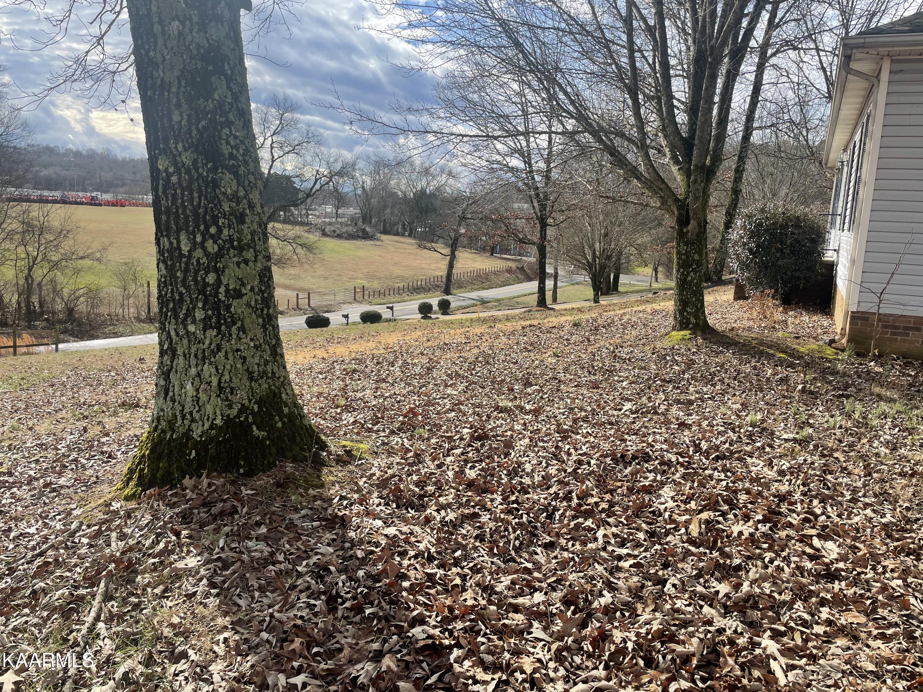 110 Guthrie Road Athens, TN 37303 - Photo 24 of 26 front yard view