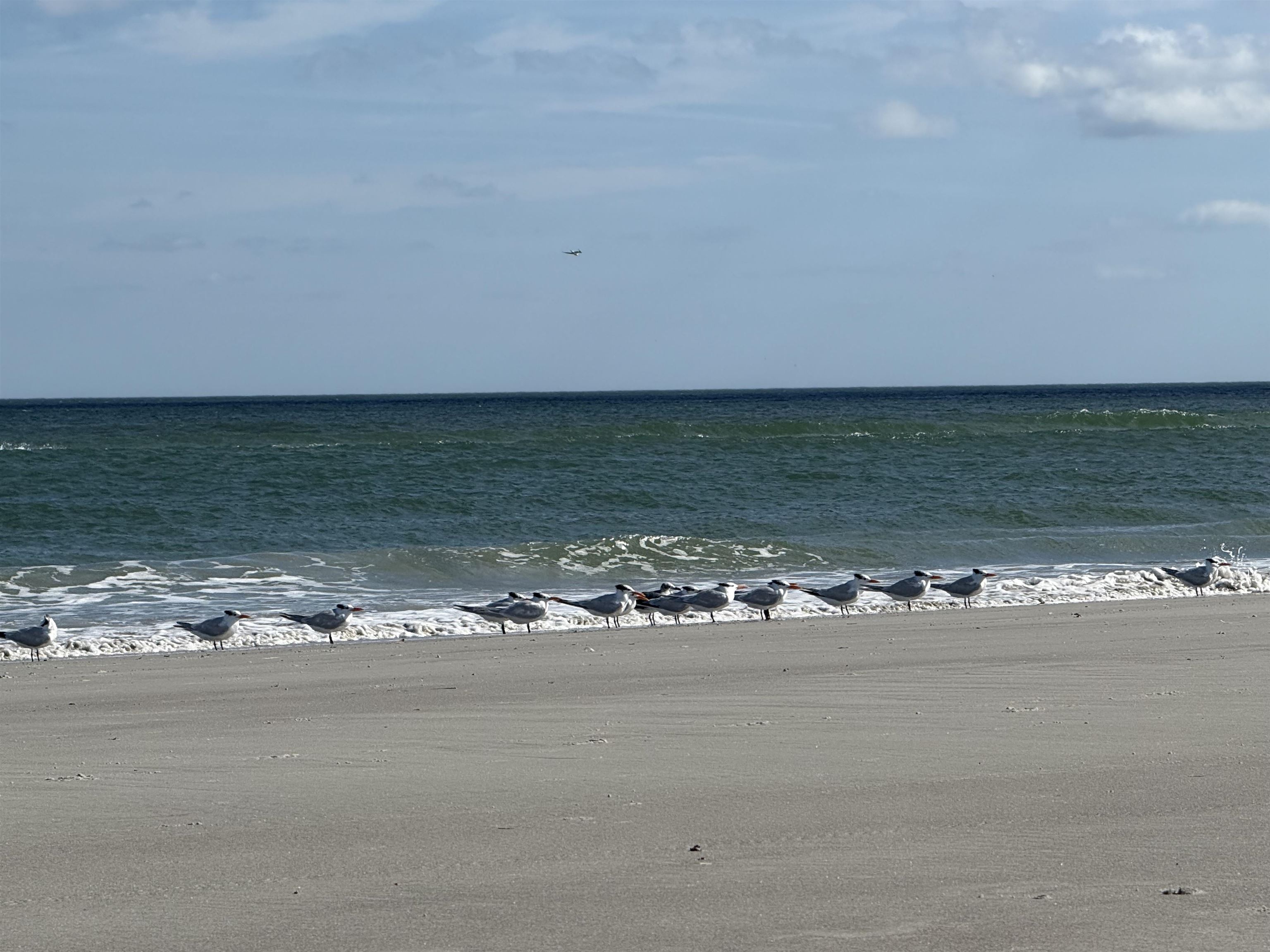 655 East Bianca Circle St. Augustine, FL 32086 - Photo 38 of 53 Water view with nearby beach