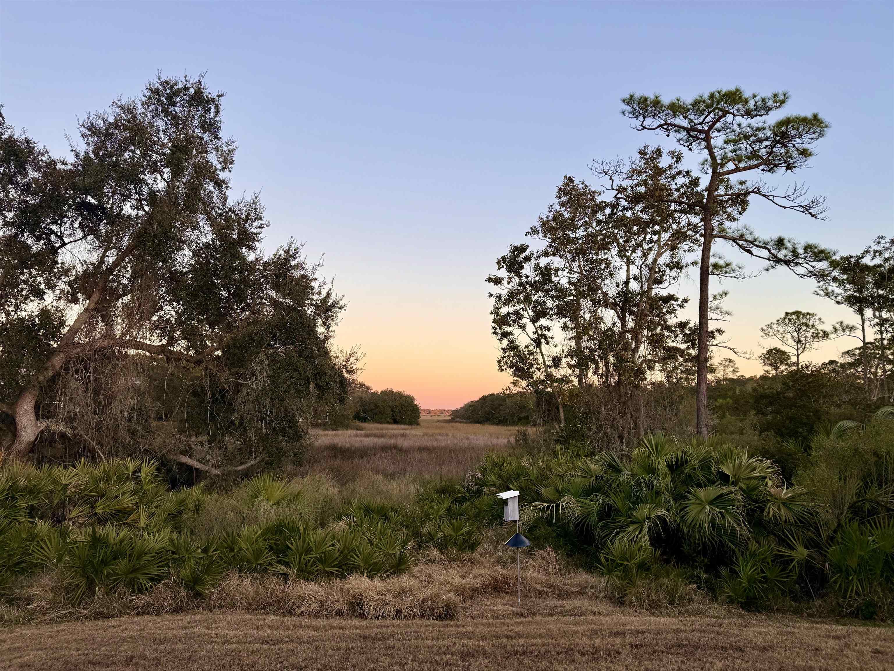 655 East Bianca Circle St. Augustine, FL 32086 - Photo 41 of 53 a view of a house with a mountain and a forest