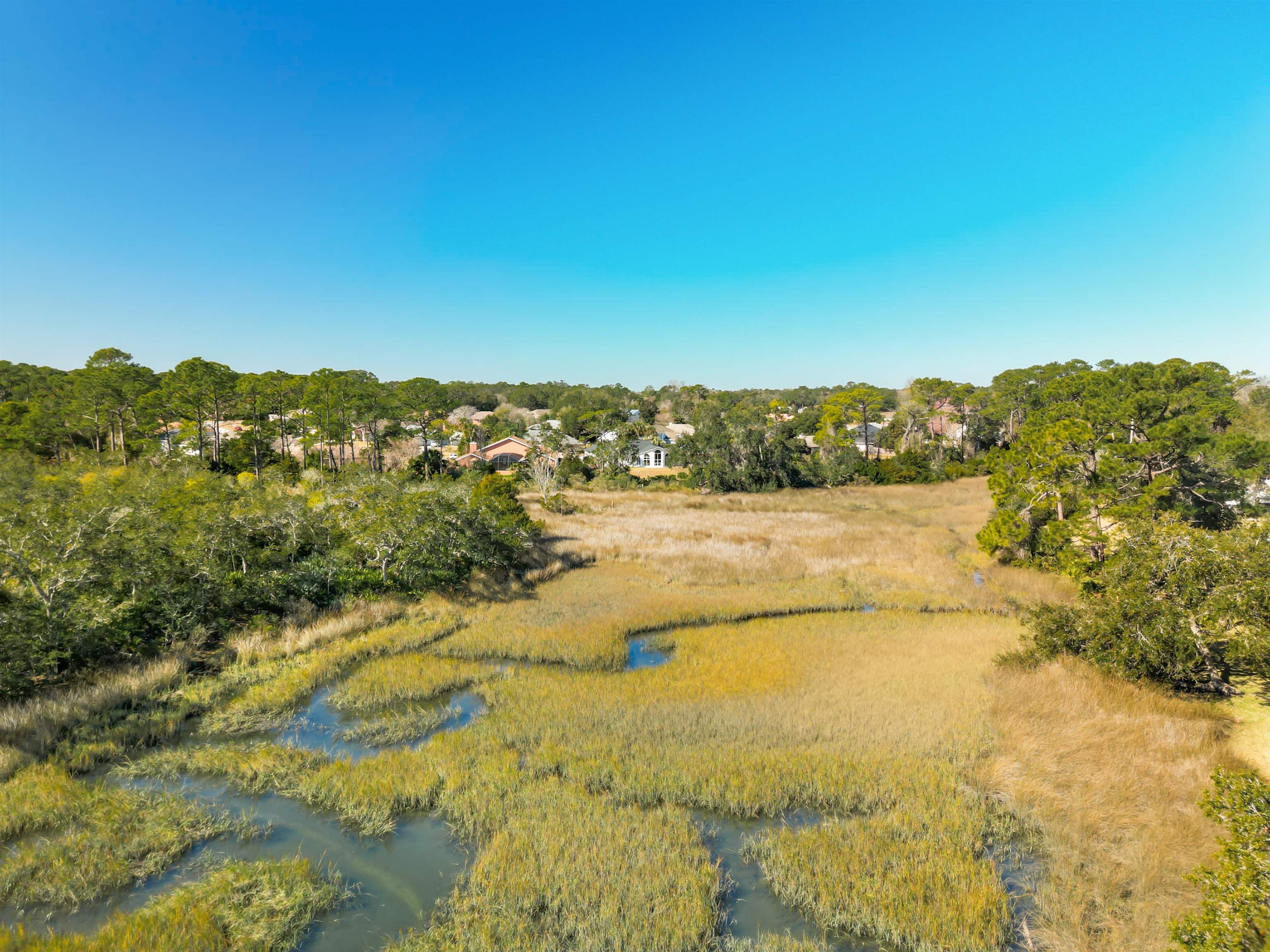 655 East Bianca Circle St. Augustine, FL 32086 - Photo 42 of 53